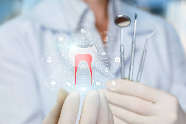 Trusted California, MD  Holistic Dental Services Experts